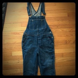 Free people denim overalls